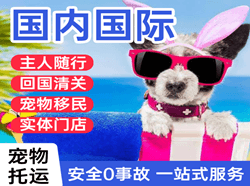 硕放航空物流国际宠物托运 【国